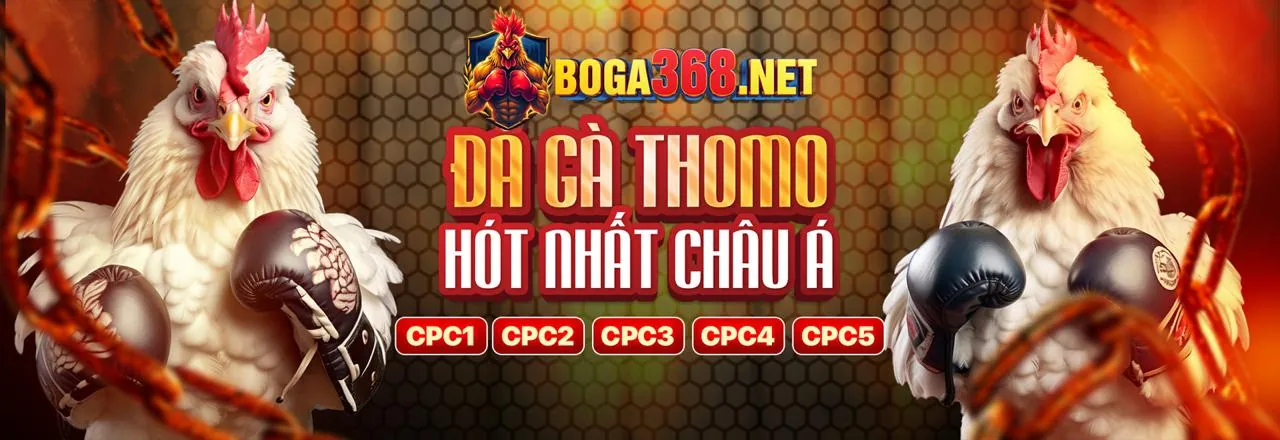 Cách chơi xóc đĩa luôn thắng