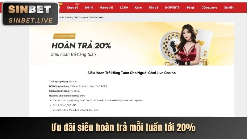 Phản hồi nhanh chóng